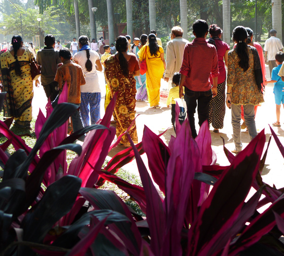 bangalore-lalbagh-garden